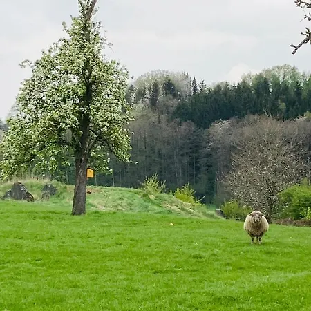 Gut Kalkhäuschen, Ein Ort Mit Geschichte Aachen