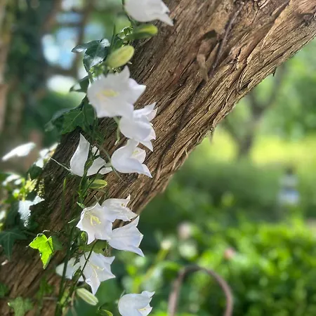 Apartment Gut Kalkhäuschen, Ein Ort Mit Geschichte *