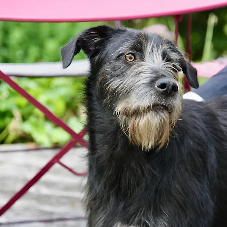 Apartment Gut Kalkhäuschen, Ein Ort Mit Geschichte Aachen