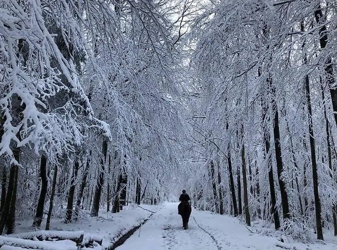 Gut Kalkhaeuschen, Ein Ort Mit Geschichte *