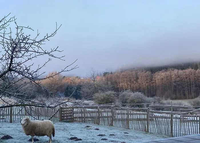 Gut Kalkhaeuschen, Ein Ort Mit Geschichte Aachen