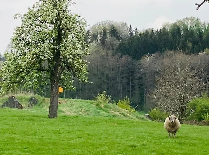 Gut Kalkhaeuschen, Ein Ort Mit Geschichte Aachen
