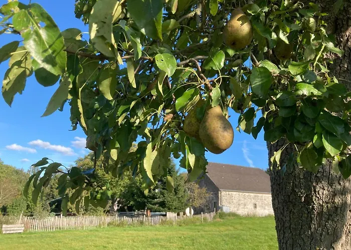 Gut Kalkhaeuschen, Ein Ort Mit Geschichte * Aachen