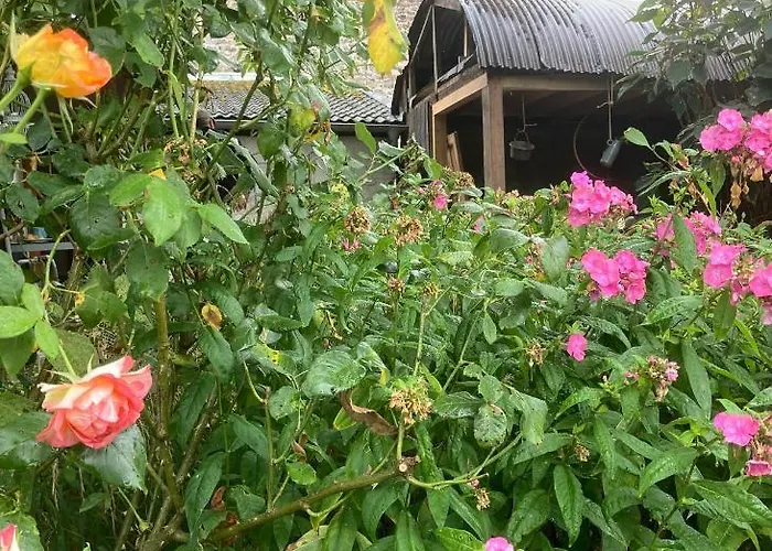 Gut Kalkhaeuschen, Ein Ort Mit Geschichte * Aquisgrana