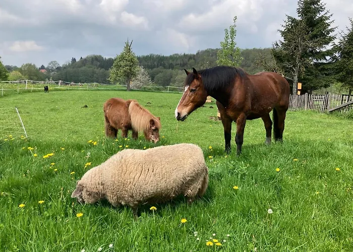 Appartamento Gut Kalkhaeuschen, Ein Ort Mit Geschichte