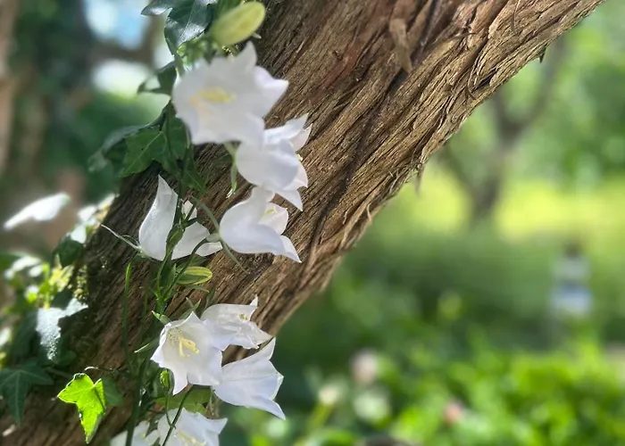 Appartamento Gut Kalkhaeuschen, Ein Ort Mit Geschichte *